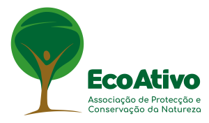 EcoAtivo