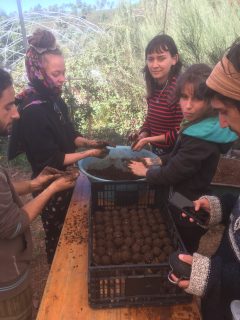 Oficina de Bombas de Sementes